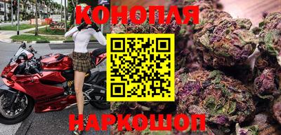 стафф Можга