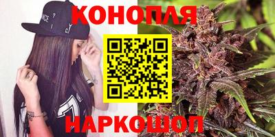 стафф Можга