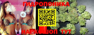 a pvp Моздок